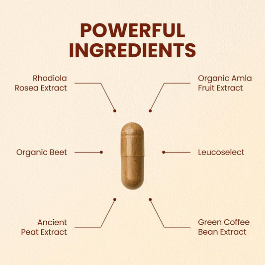 CHOQ Action 2.0 capsules closeup showing convenient vegan capsules.