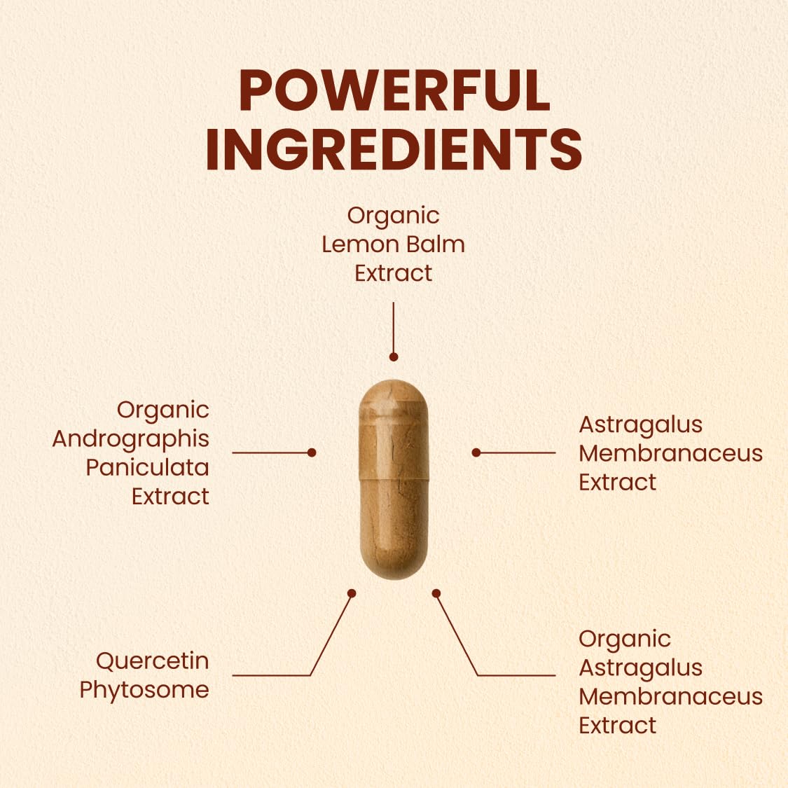 Close-up of CHQ Armor capsules showing 20x absorption quercetin phytosome.