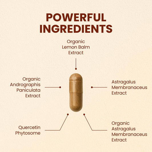 Close-up of CHQ Armor capsules showing 20x absorption quercetin phytosome.