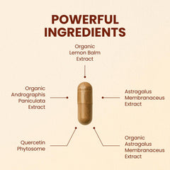Close-up of CHQ Armor capsules showing 20x absorption quercetin phytosome.