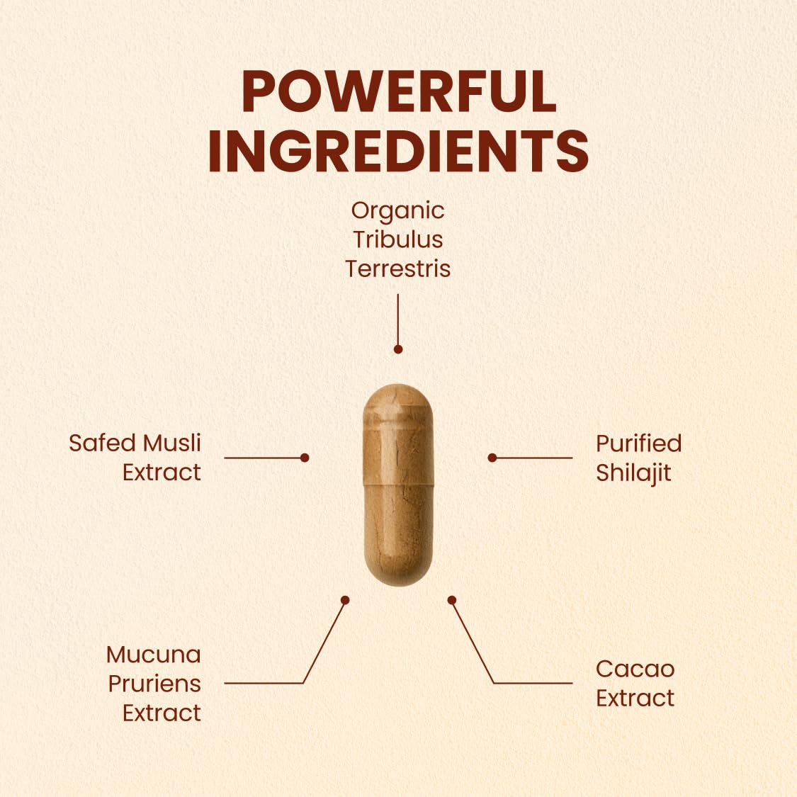 CHOQ Daily Safed Musli capsules emphasizing natural stamina support.
