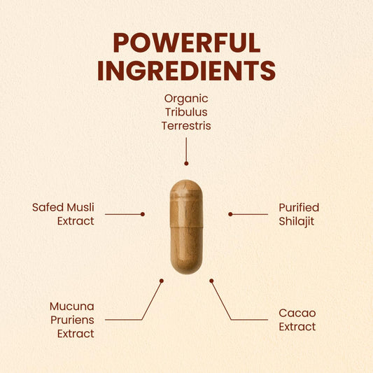 CHOQ Daily Safed Musli capsules emphasizing natural stamina support.