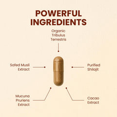 CHOQ Daily Safed Musli capsules emphasizing natural stamina support.