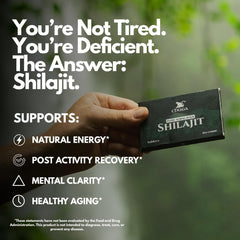 Chuga Shilajit fulvic acid content highlighted for bioavailability.