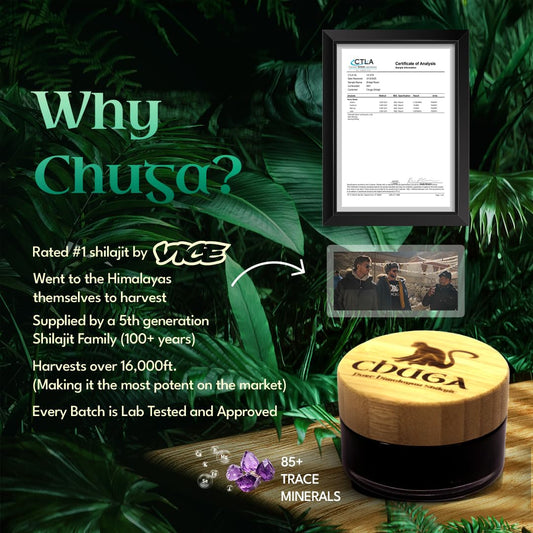 Chuga Shilajit resin jar label shows authentic source and mineral richness.