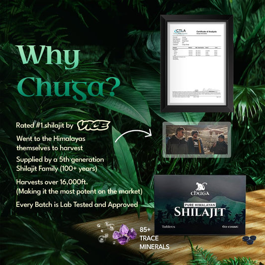 Chuga Shilajit tablets close-up showing mineral-rich texture.
