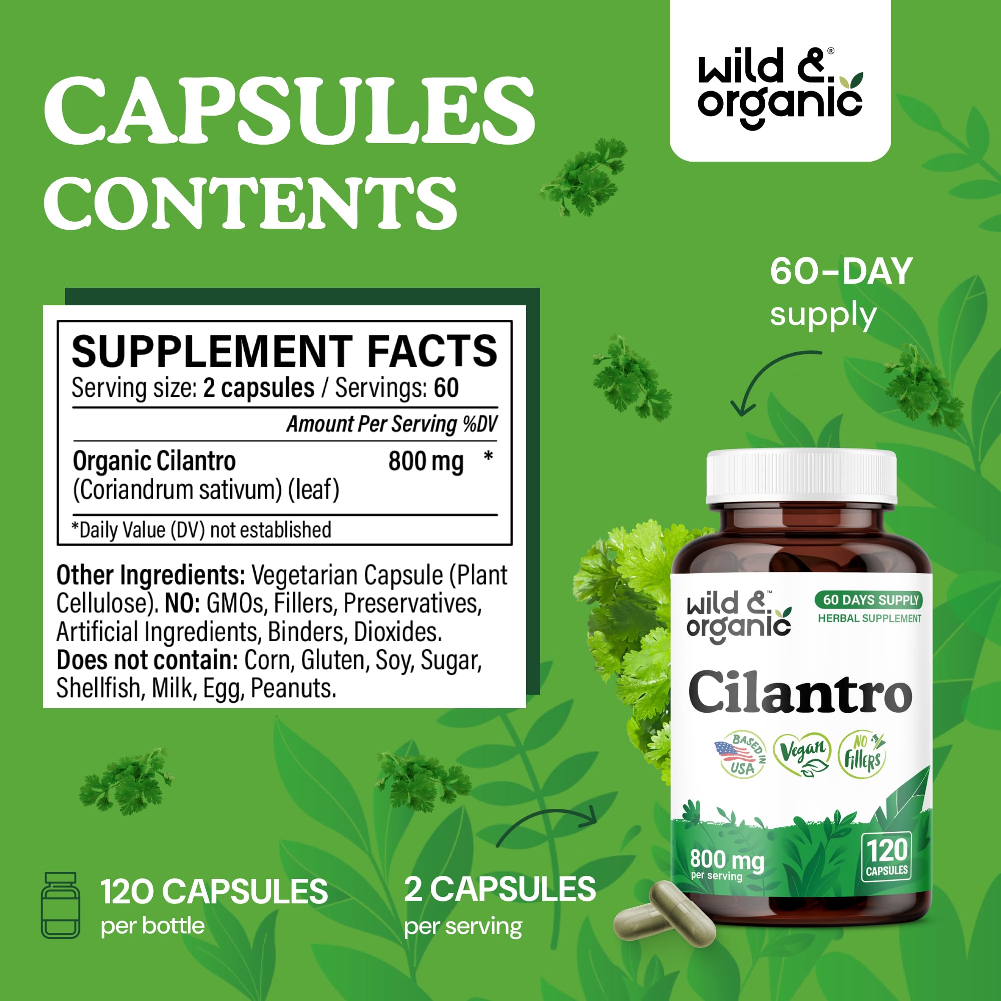Cilantro leaf extract powder closeup emphasizing antioxidant support.