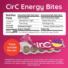 CirC Energy Bites lemon-blueberry close-up texture.