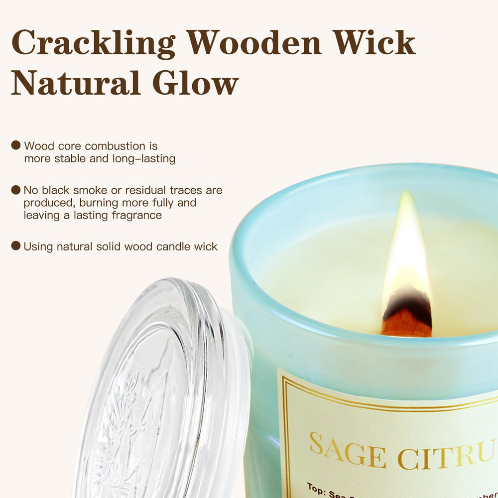 CJVIUS Eucalyptus Mint wood wick candle refreshes spaces with crisp scent