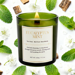 CJVIUS two-pack candles offering long-lasting fragrance for home gifts.