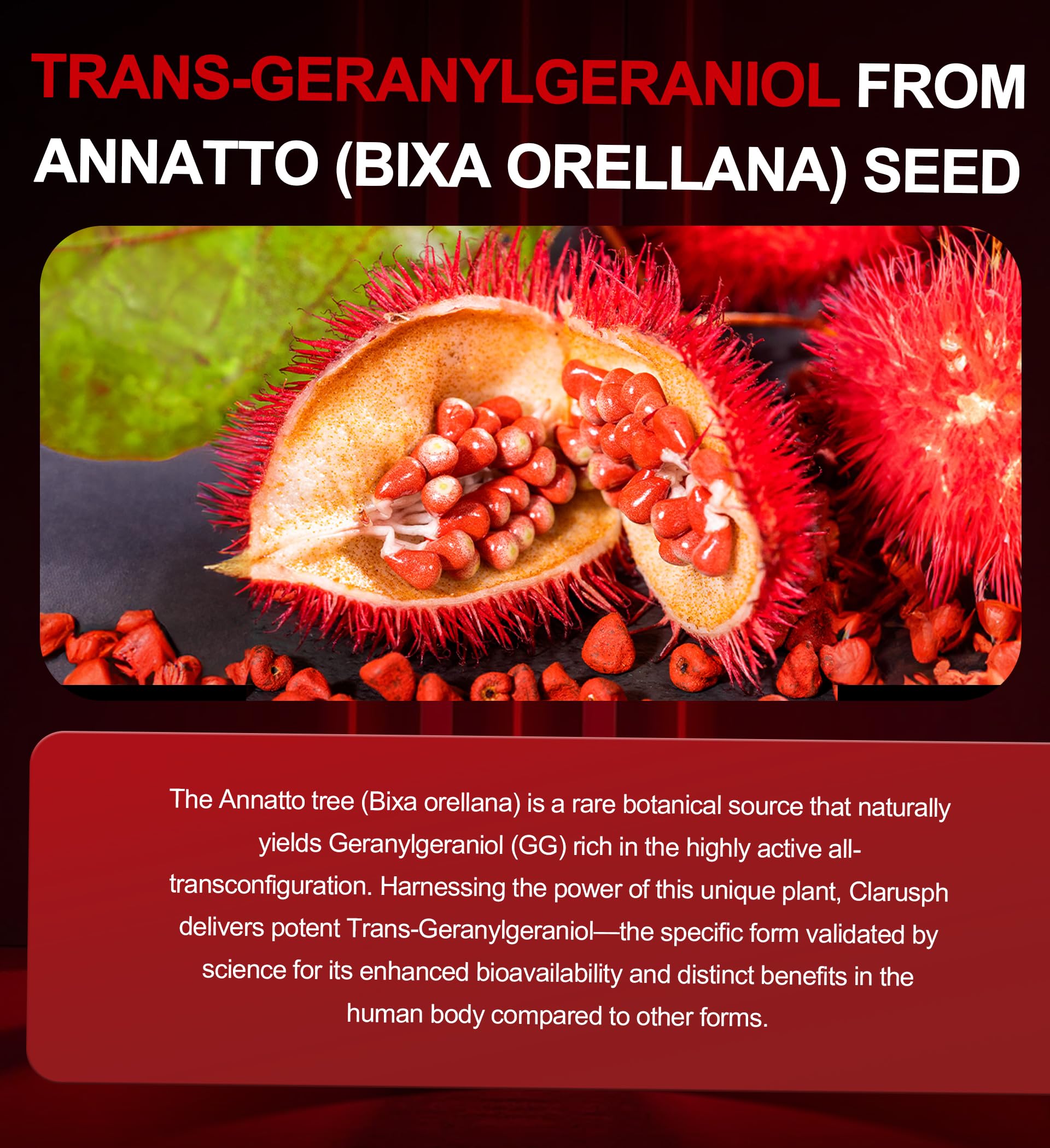 Clarusph Energy GG annatto seeds close-up