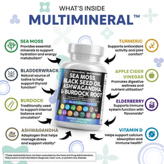 Clean Nutraceuticals ashwagandha root powder supports everyday wellness.