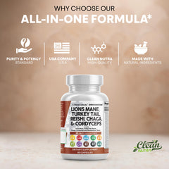 Clean Nutraceuticals daily-use setup inviting mindful mushroom use