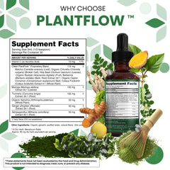 Clean Nutraceuticals moringa drops mint flavor bottle-close evokes refreshment.