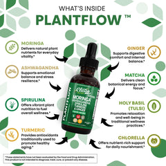 Clean Nutraceuticals PlantFlow blend jar highlights a nutrient-rich green mix.