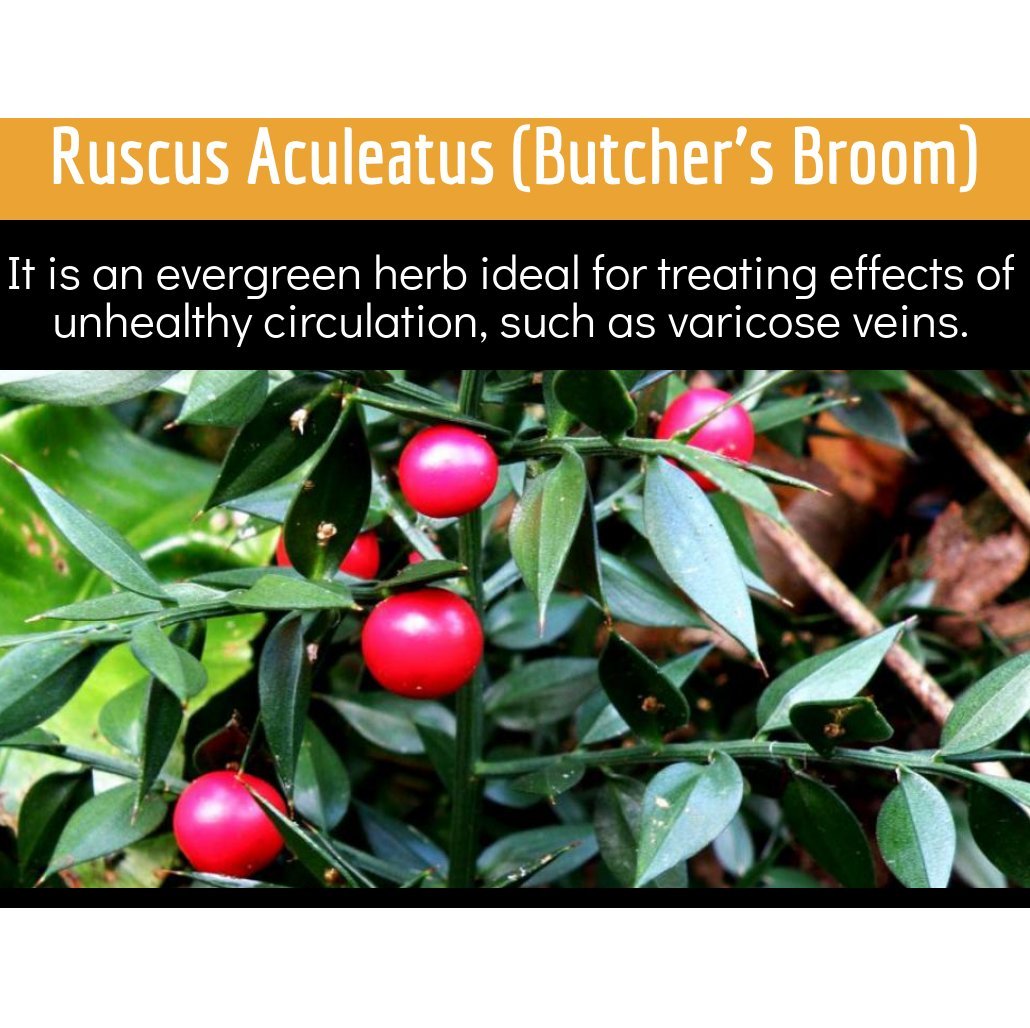Clinical Daily hawthorn extract capsules support heart-friendly circulation and pressure balance.