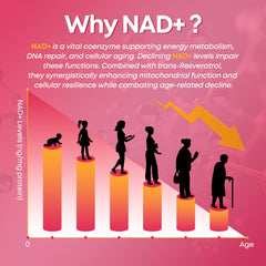 CNCHEF NAD+ gummies chew close-up showcases tasty, easy-to-take nourishment.