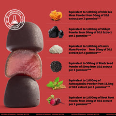 Coach Soak Shilajit Gummies pack shows portable daily wellness for workouts and busy days.
