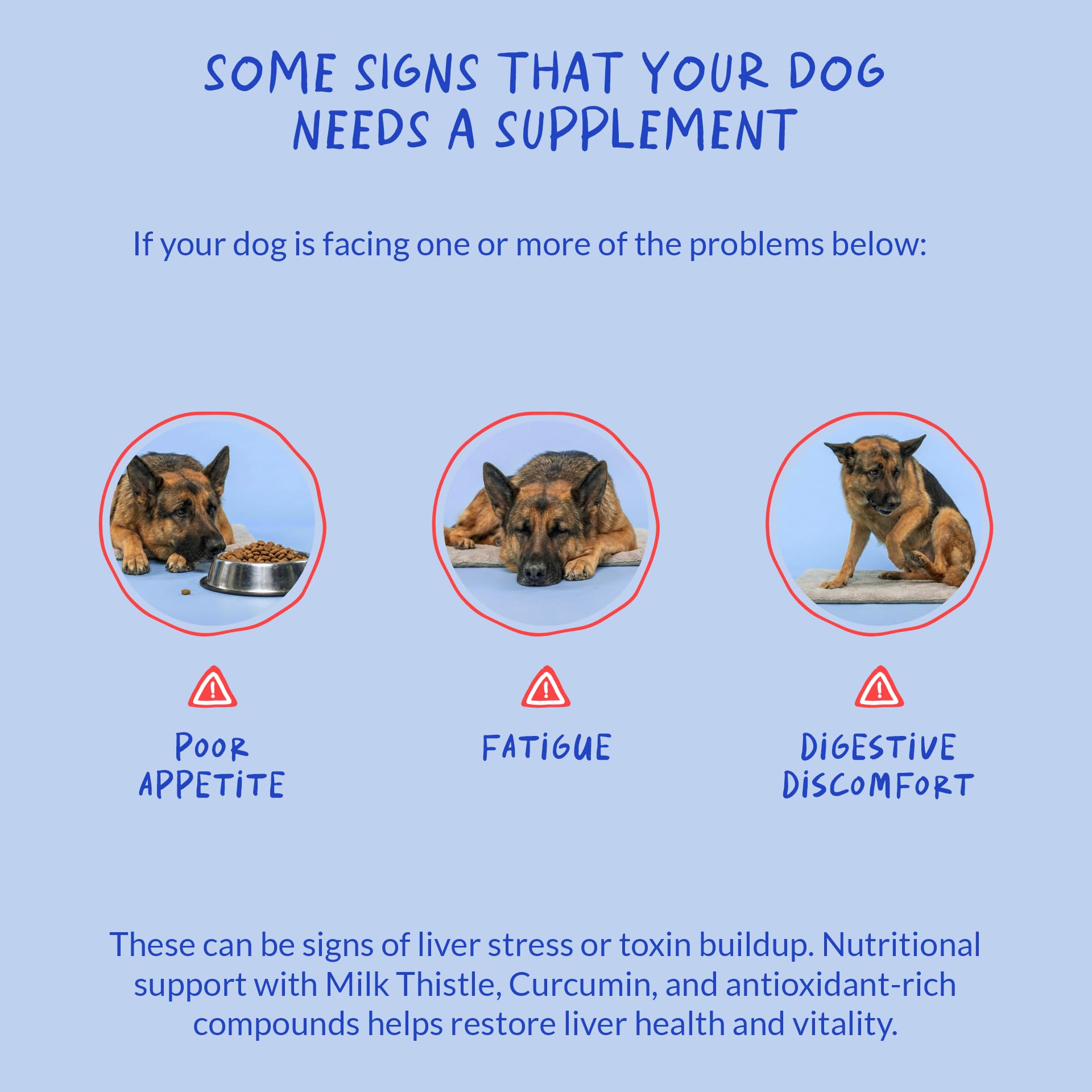 Coco and Luna Dog Kidney Support ingredients scene featuring choline and L-arginine.