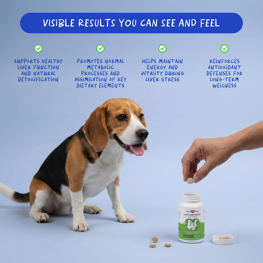 Coco and Luna Milk Thistle tablets packaging highlights vet-formulated quality
