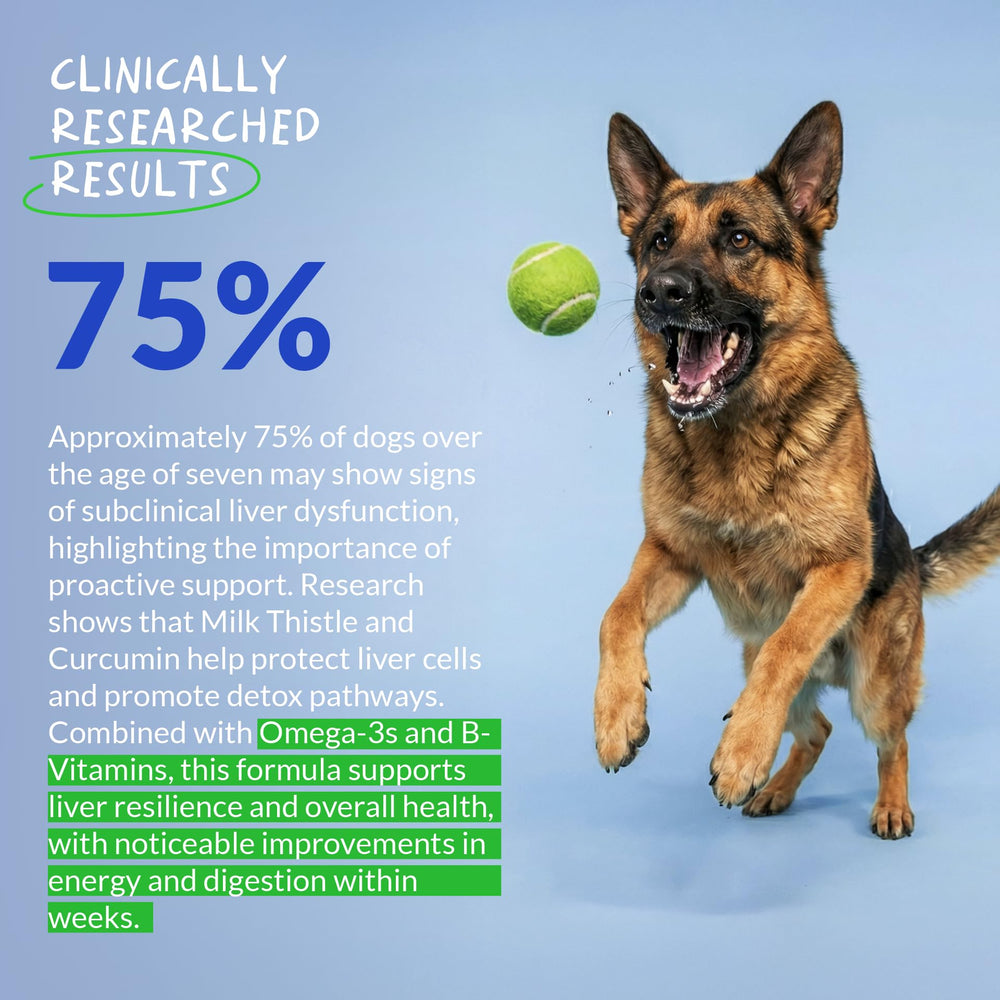 Coco and Luna Dog Liver Support bottle showcases hepatic health focus.