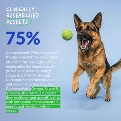 Coco and Luna Dog Liver Support bottle showcases hepatic health focus.