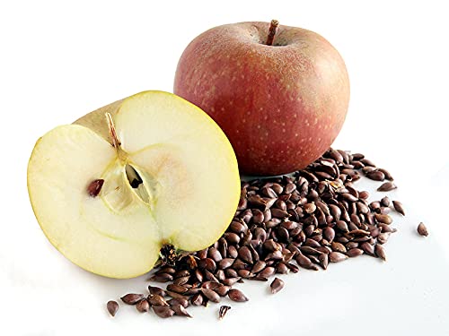 cocojojo Apple Seed Oil vegan cruelty-free icon on label