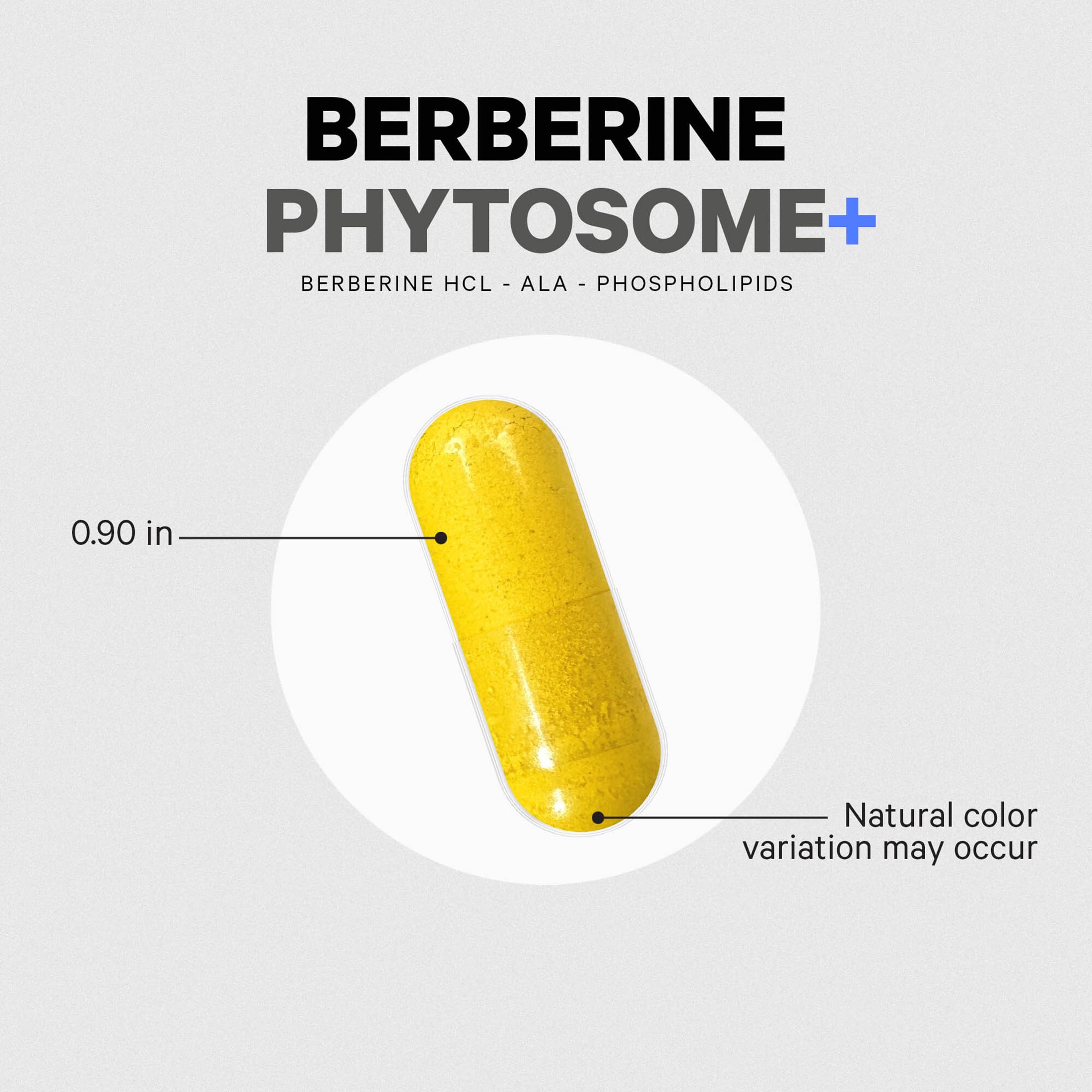 Codeage Berberine Phytosome vegan, gluten-free, dairy-free, and soy-free formula.