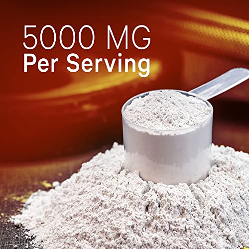 Codeage creatine powder packaging system represents a one-month supply for routine use.
