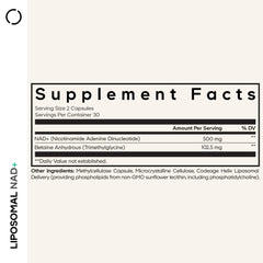 Codeage Liposomal NAD+ capsules close-up for easy dosing