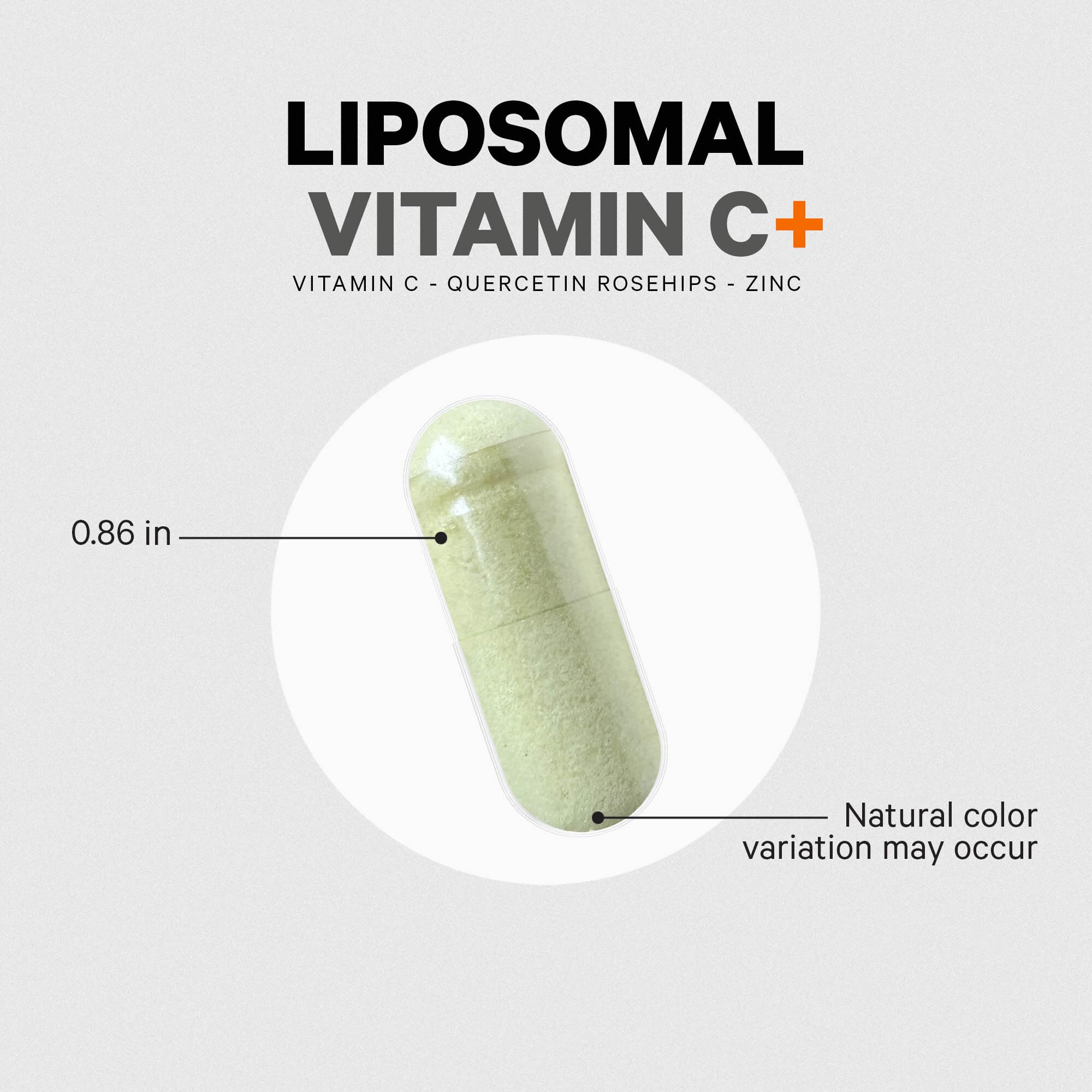 Quercetin dihydrate symbolically featured for antioxidant-rich profile and daily support.