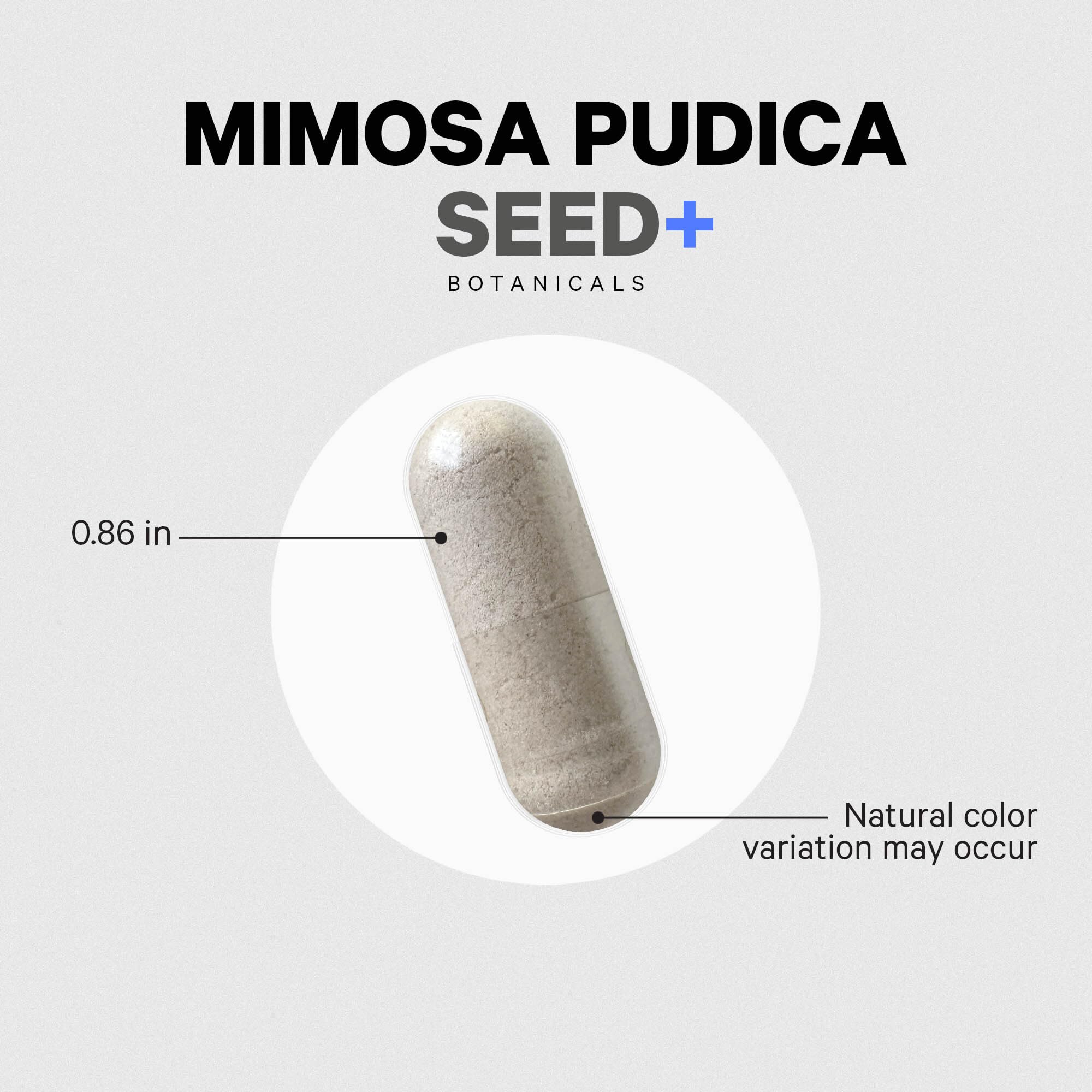 Codeage Mimosa Pudica capsules pouring into hand for convenient dosing
