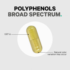 Codeage Polyphenols Made in USA vegan capsules for flexible nutrition.