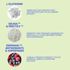 Codex Beauty GutBuilder ingredients bulk display emphasizes plant-based fibers.