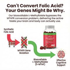 CogniTune strawberry-flavored gummies ideal for family folate support