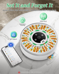 COLORWING 2025 dashboard display shows pill status at a glance.