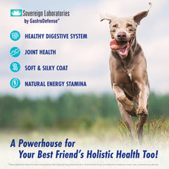 Colostrum-LD capsules packaging box on table signals quality and dosage guidance.