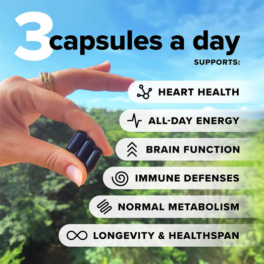 Complement Essential vegan multivitamin capsules close-up highlighting nutrient blend for daily energy and immune support.