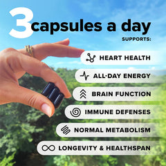 Complement Essential vegan multivitamin capsules close-up highlighting nutrient blend for daily energy and immune support.