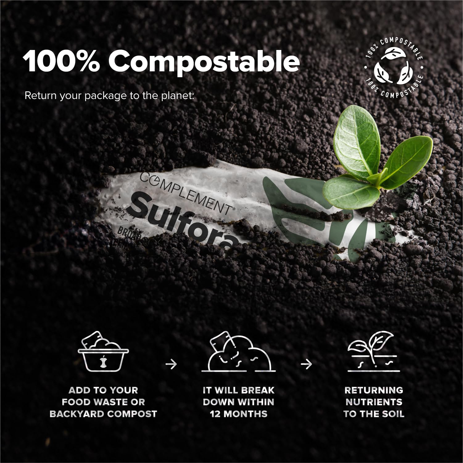 Complement Sulfora Brussels-sprouts visual signals whole-food synergy.