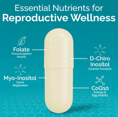 CoQ10 and folic acid seen in Conceive Plus for reproductive health support.