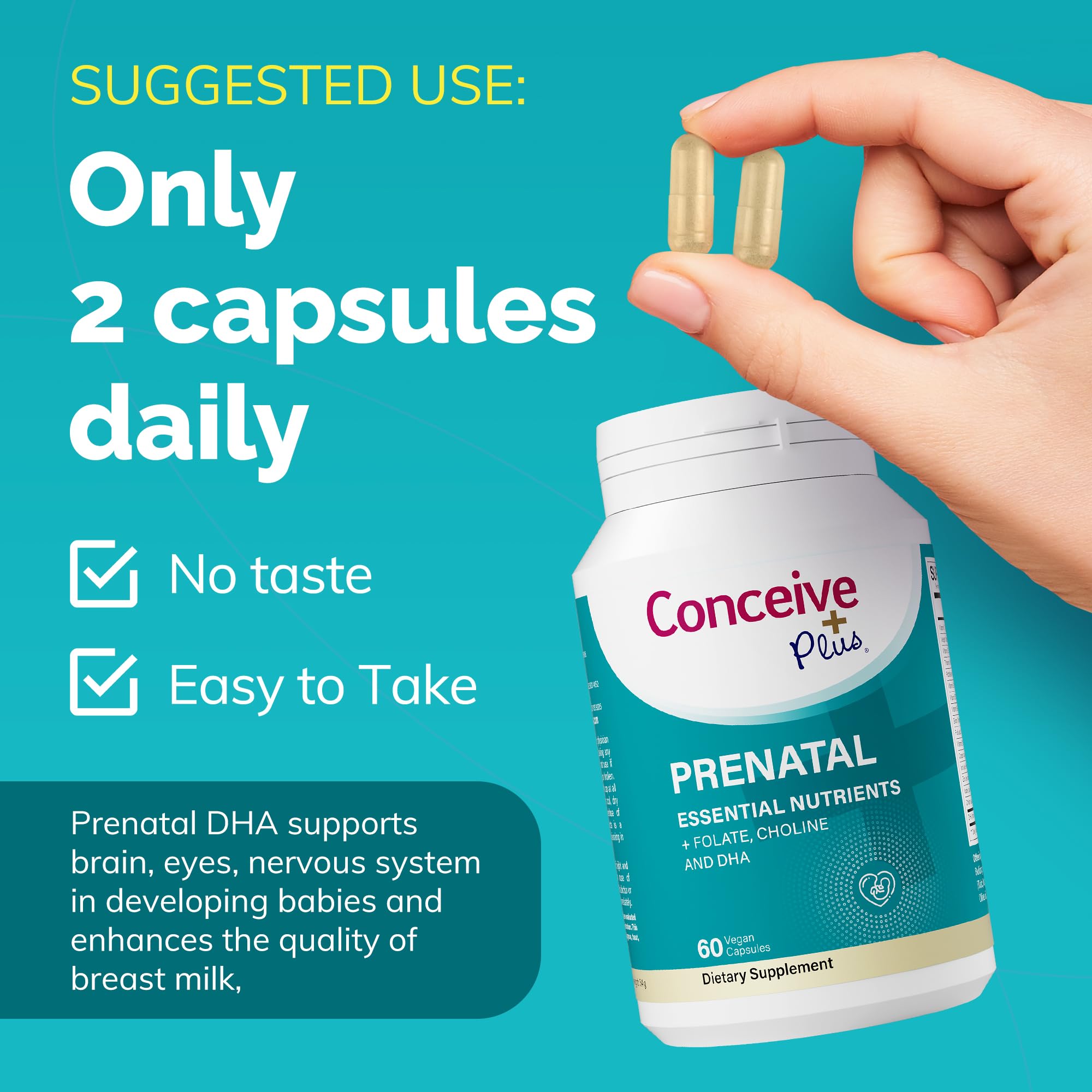 Conceive Plus Prenatal folic acid tablets shown, essential prenatal nutrient for early development.