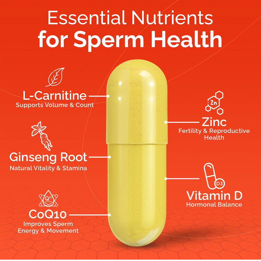 CONCEIVE PLUS Motility daily dosing after meals for simple routine