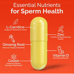 CONCEIVE PLUS Motility daily dosing after meals for simple routine