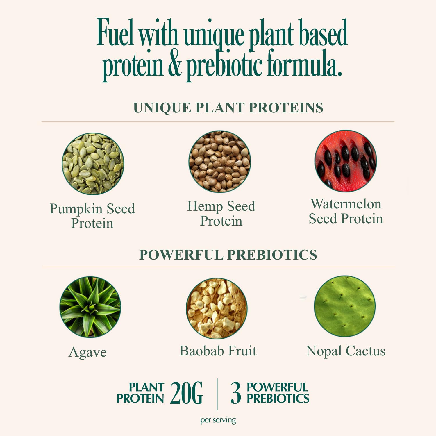 Coolside seed blend ingredients close-up emphasizing gentle digestion.