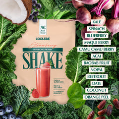 Coolside Seed Protein texture close-up highlights a smooth blend