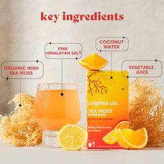 Copina Co pink Himalayan salt detail highlighting minerals for hydration