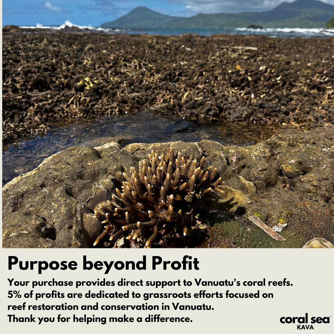 Coral Sea Kava measuring spoon suggests precise use for ceremonial or daily use.