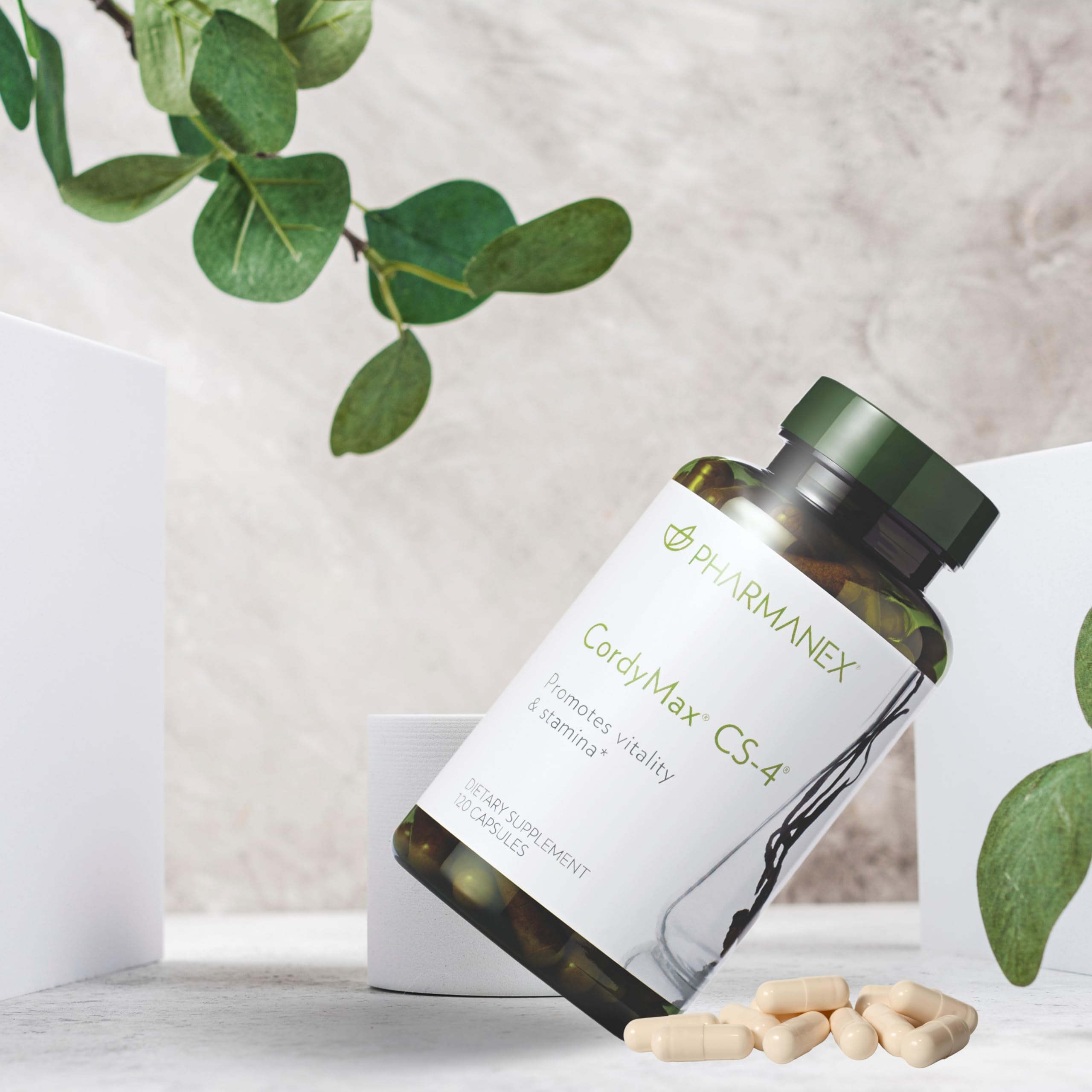 CordyMax CS-4 packaging label and branding