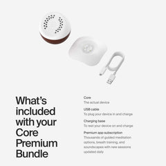 Premium Core library with artist-made music meditations for focus